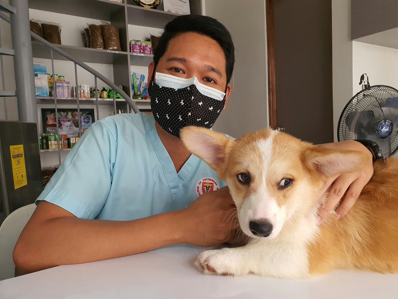 Veterinário examinando um filhote no balcão de atendimento
